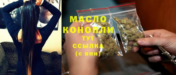 винт Лагань