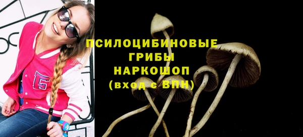 наркотики Ладушкин