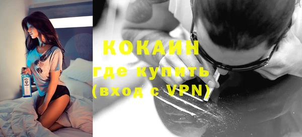 винт Лагань