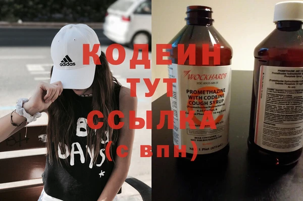 винт Лагань