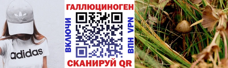 Псилоцибиновые грибы GOLDEN TEACHER  Куса 